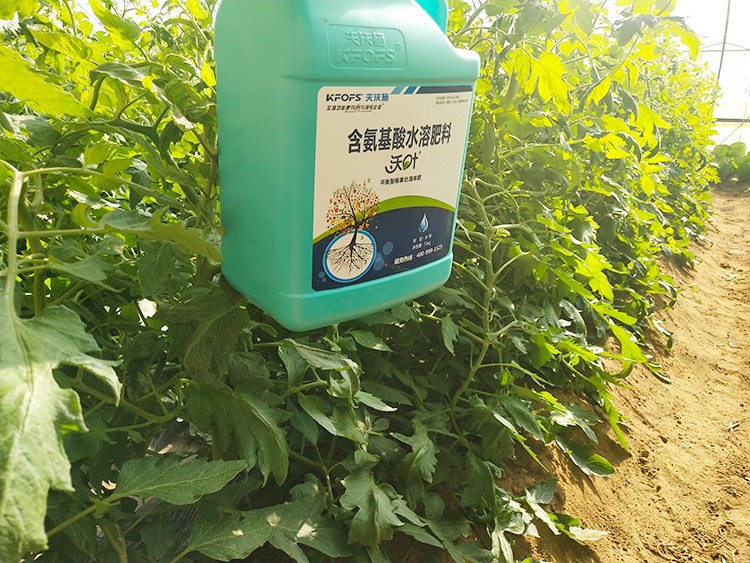 蔬菜沖施肥哪個品牌好？經(jīng)驗實談