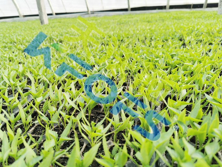 微生物菌劑廠家哪家好？