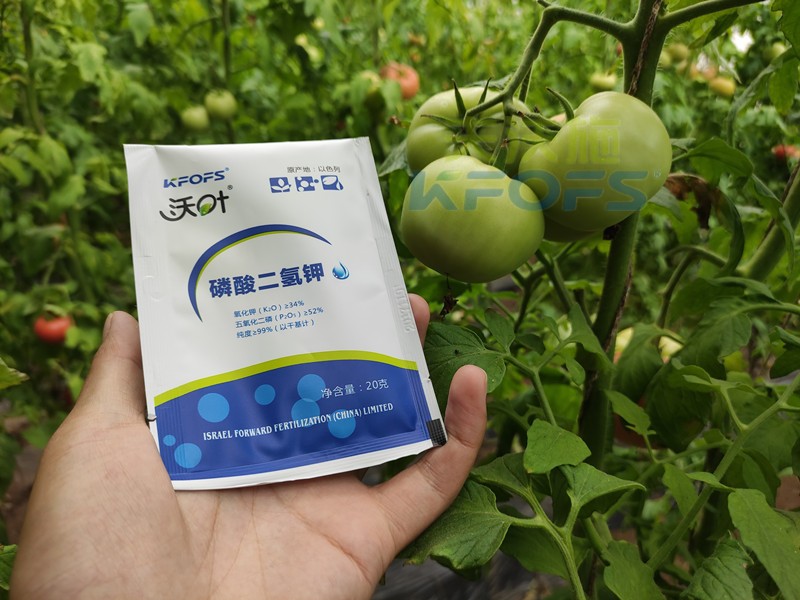 葉面肥磷酸二氫鉀，竟然這么好用！