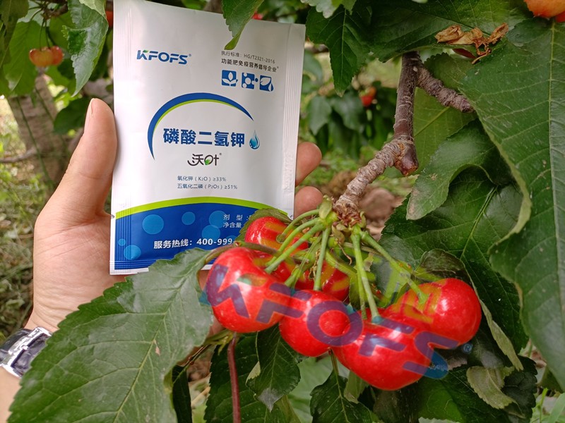 磷酸二氫鉀的正規(guī)廠家哪個好？這些方面要記牢！