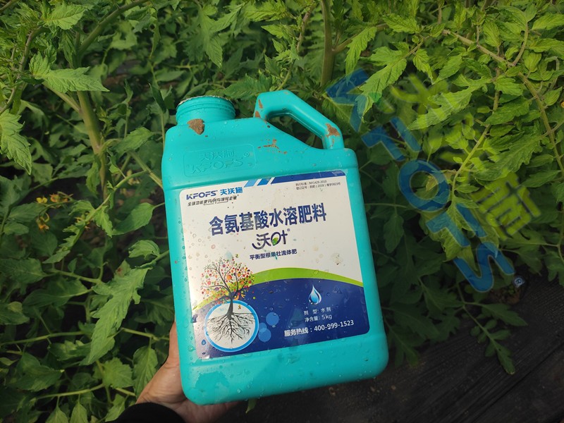 水溶肥的合理價格是多少？聽聽種植戶怎么說