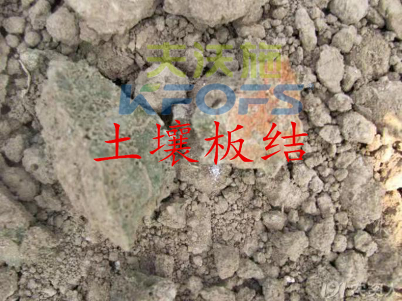 土壤板結.png