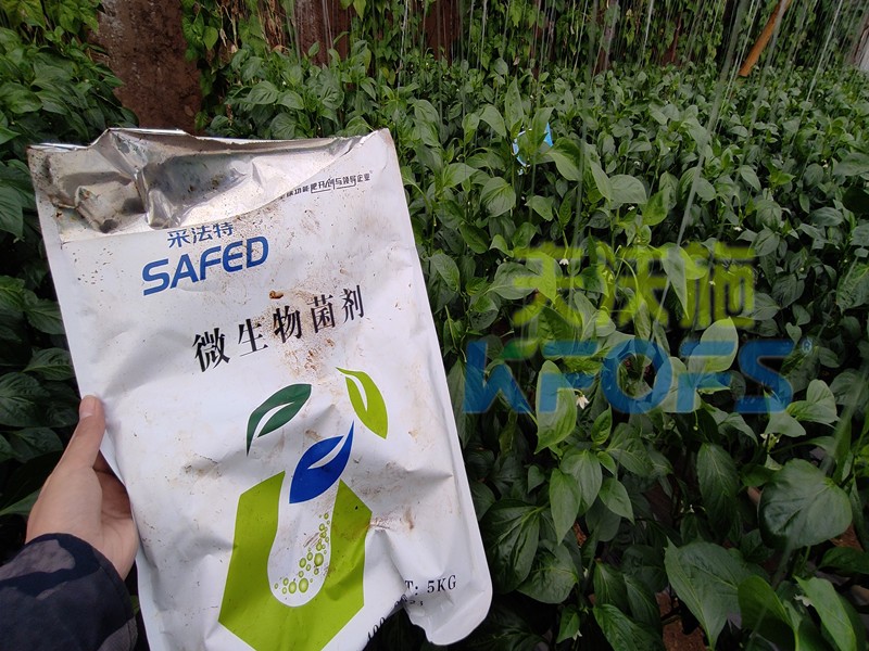 微生物菌劑，你不知道的秘密在這里！