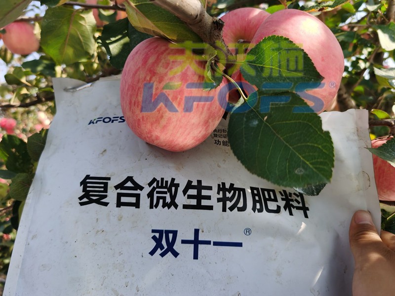 什么樣的水溶肥廠家值得客戶長(zhǎng)期跟隨？