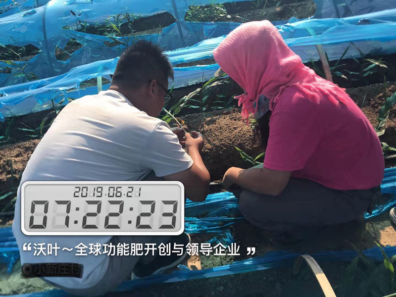 農(nóng)資銷售的堅(jiān)硬壁壘將如何打破！.png