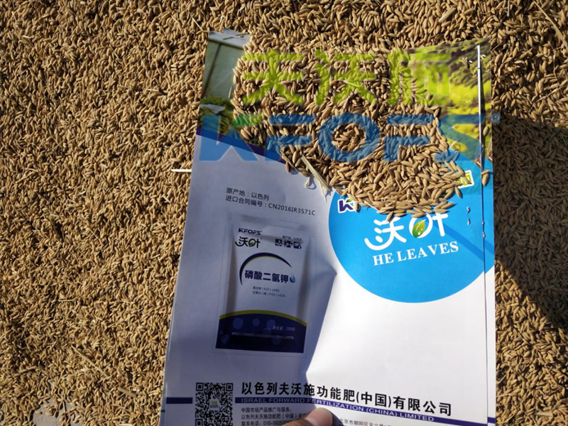 水溶肥哪家好？沃葉水溶肥效果怎么樣？