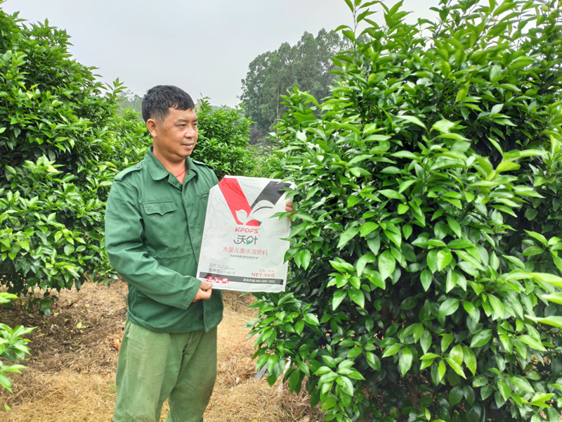 水溶肥品牌的選擇，種植戶有發(fā)言權(quán)