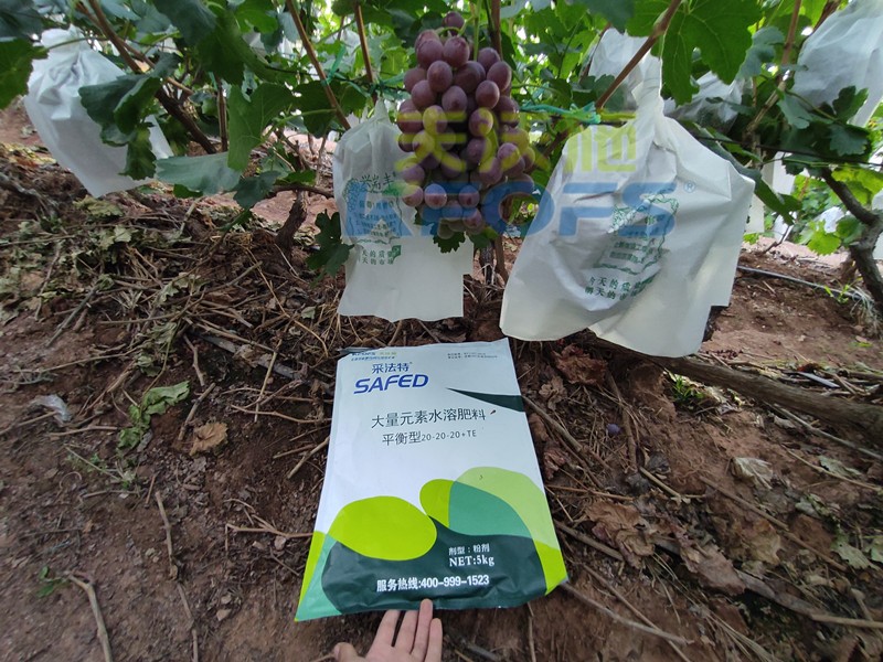 水溶肥料的價格高低取決于什么？