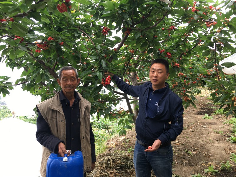 沖施肥市場銷量高的原因是什么？