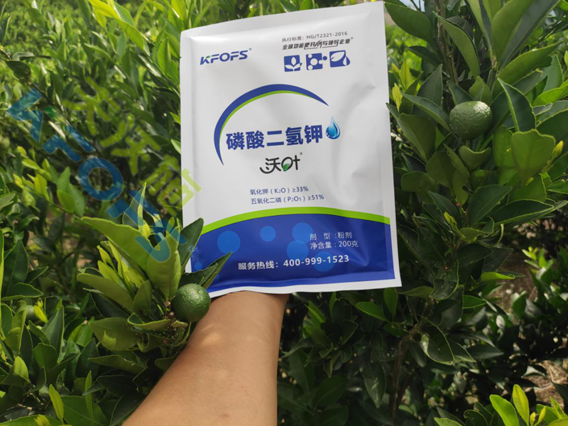葉面肥哪家好？使用后有什么不一樣？