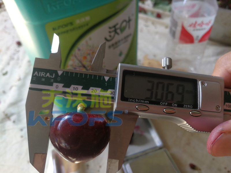 水溶肥-櫻桃用沃葉水溶肥系列測(cè)量.png