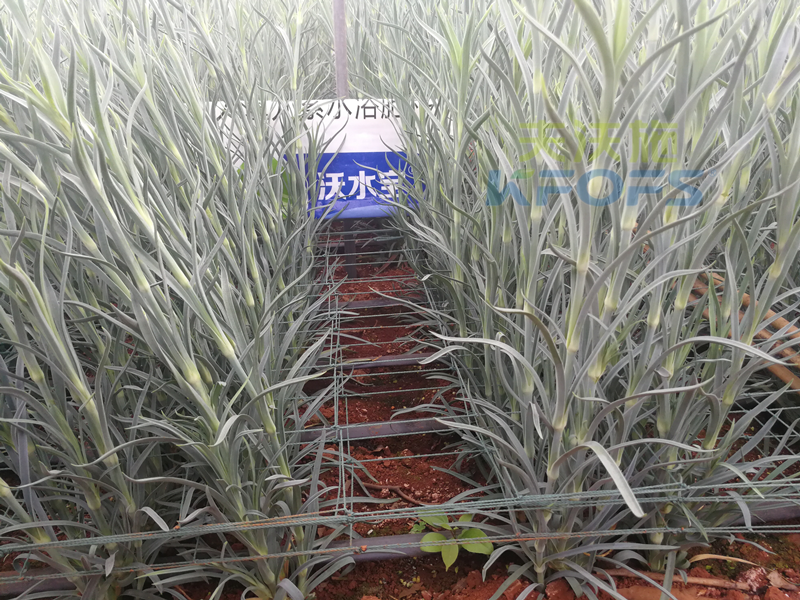 進(jìn)口水溶肥真的好過(guò)國(guó)產(chǎn)嗎-沃水寶大量元素1.png