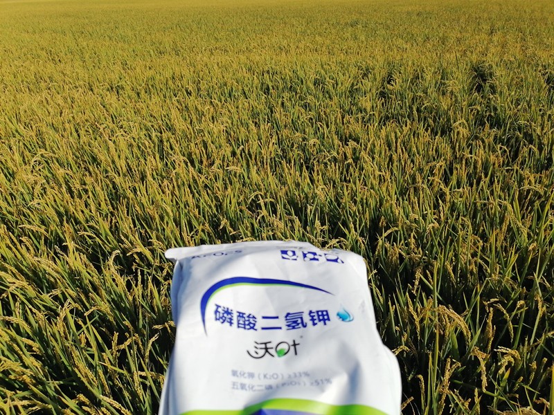三分鐘看懂磷酸二氫鉀哪個(gè)品牌好！