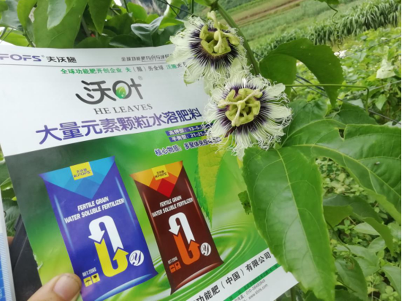 水溶肥-果樹(shù)用大量元素水溶肥效果1.png