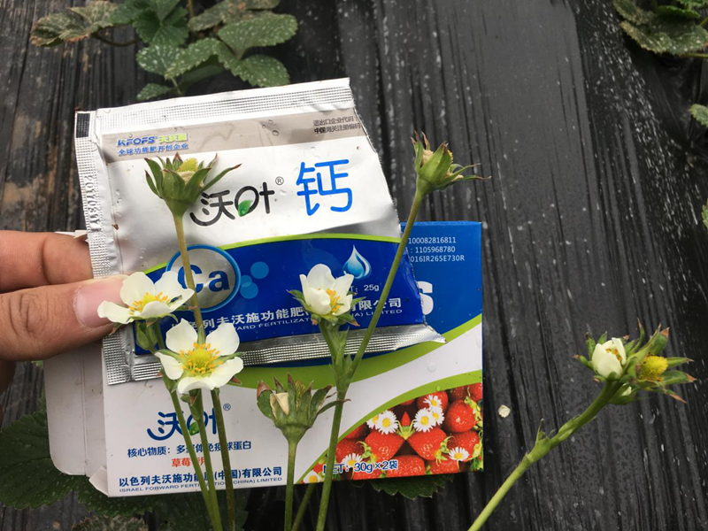 鈣肥種類那么多，你了解幾種