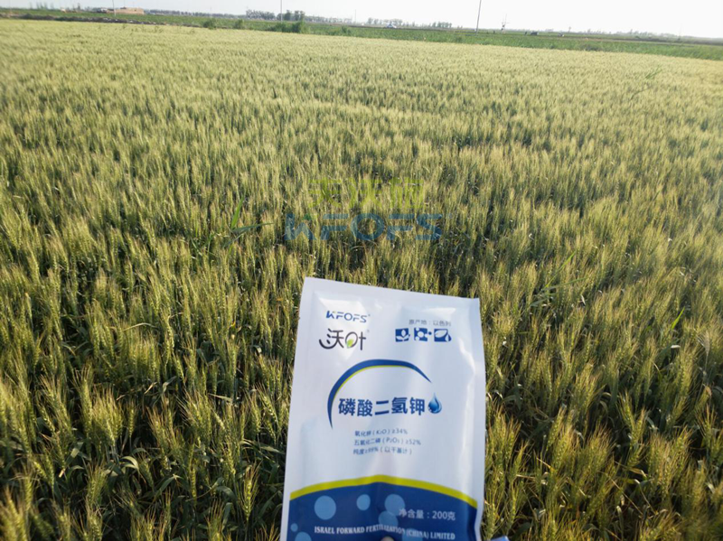 磷酸二氫鉀適合那些作物？