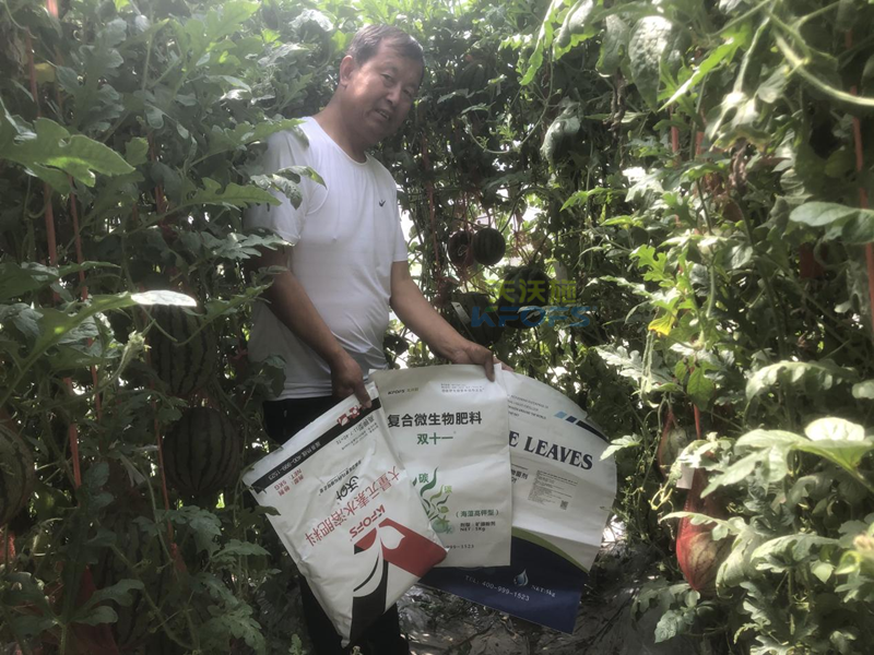 西瓜重茬栽培怎么治？王大叔告訴你答案！