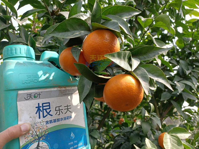 果樹春季施肥最佳時間，要把握住！