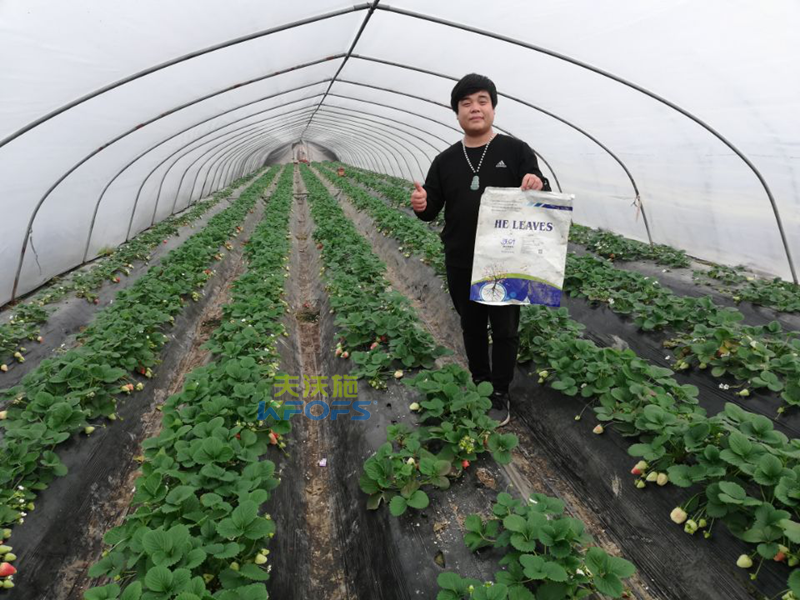 作物用肥，對(duì)食品安全的重要作用