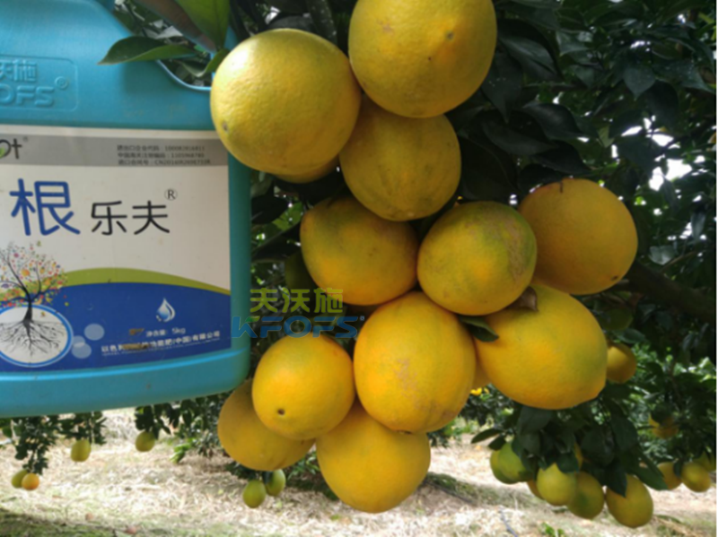 果樹(shù)沖施肥的方法和時(shí)間？