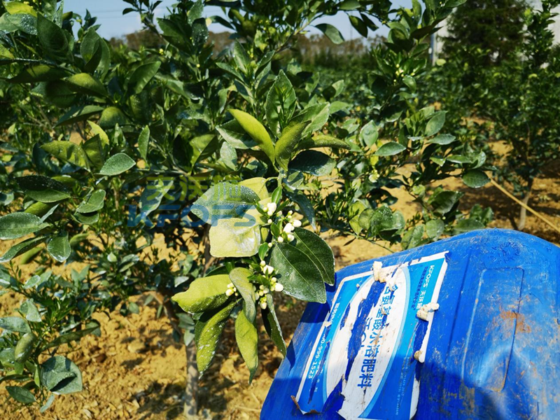 什么叫有機(jī)水溶肥？夫沃施科普