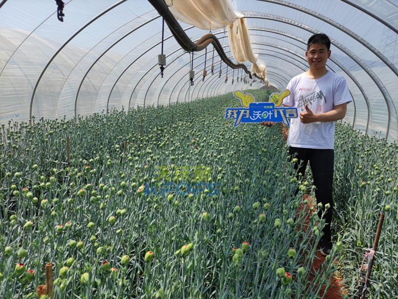 進(jìn)口水溶肥怎么選？王總的答案！
