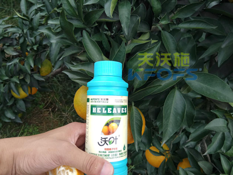 葉面肥能預(yù)防作物早衰嗎？1.png