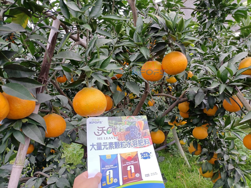 水溶肥可以直接撒施嗎？