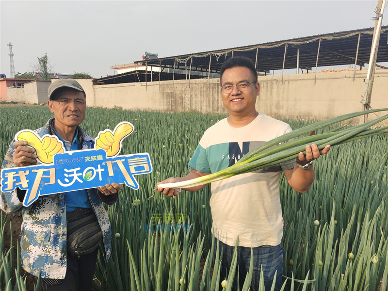 進口水溶肥以色列夫沃施，讓更多人受益！
