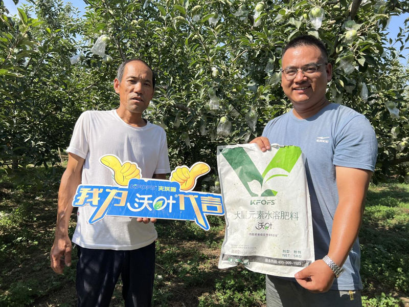 桃樹施肥時(shí)間和方法-沃葉水溶肥系列.png
