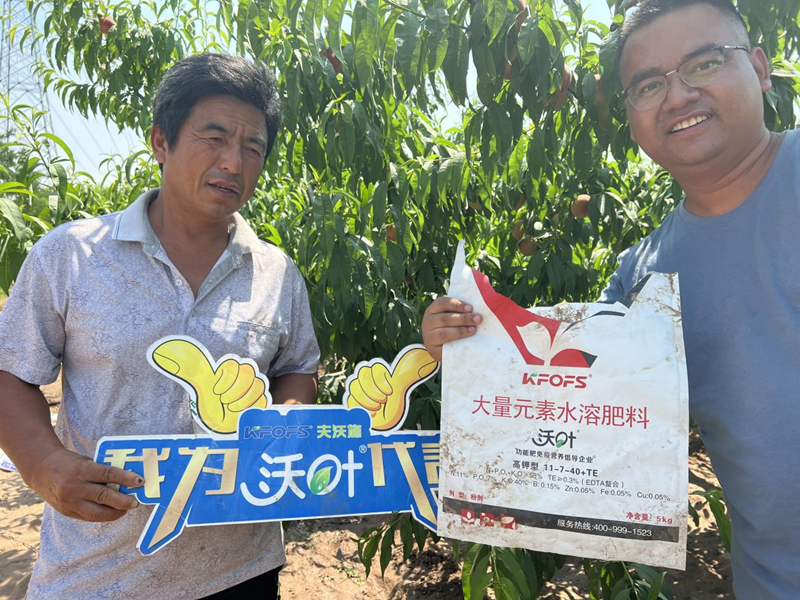 桃樹施肥時(shí)間和方法-沃葉水溶肥系列1.png