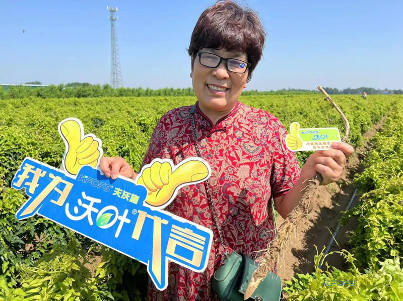 改良土壤肥料有哪些？夫沃施功能肥