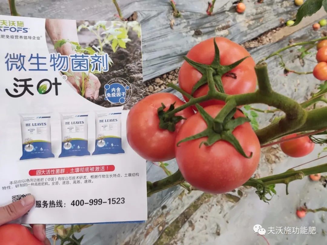 微生物菌劑選哪家？