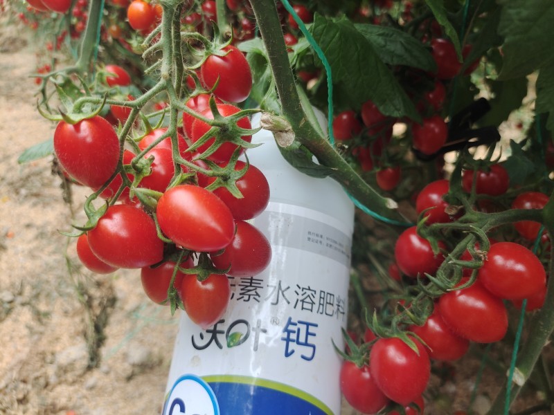 水溶肥挑選技巧掌握了，種啥都中