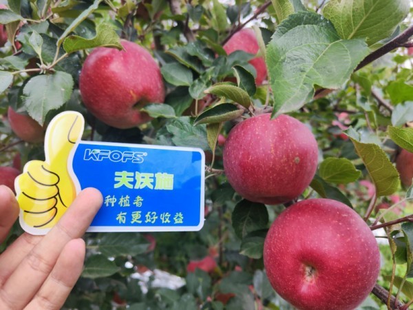 微生物菌劑，作物增產(chǎn)的“敲門(mén)磚”