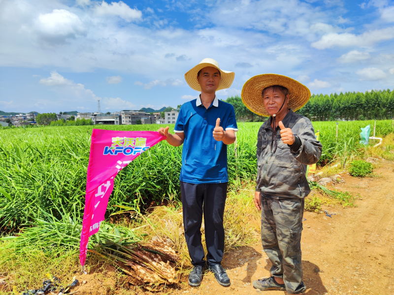 生根劑不能錯(cuò)過的3個(gè)時(shí)期，你知道嗎？