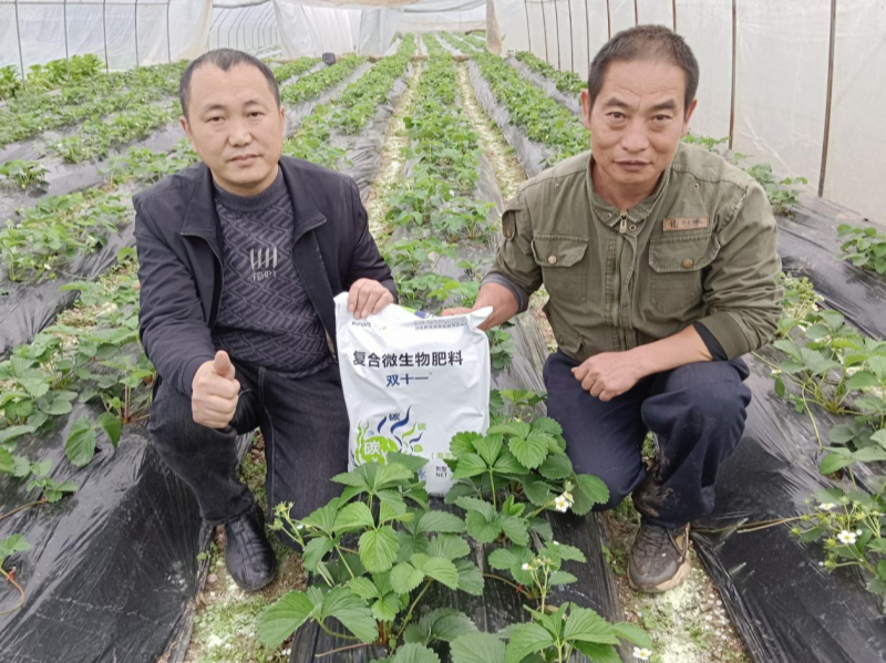 土壤板結(jié)的原因及解決辦法，總結(jié)6點